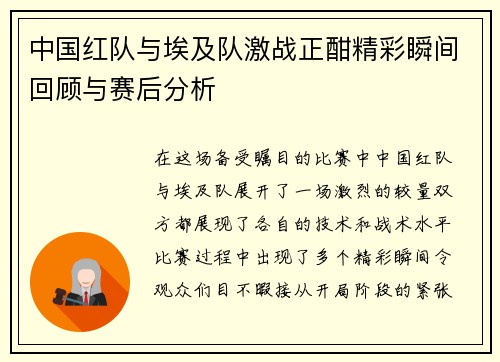 中国红队与埃及队激战正酣精彩瞬间回顾与赛后分析