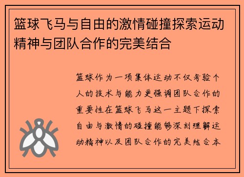 篮球飞马与自由的激情碰撞探索运动精神与团队合作的完美结合