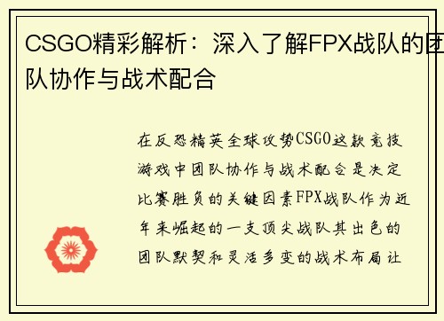 CSGO精彩解析：深入了解FPX战队的团队协作与战术配合