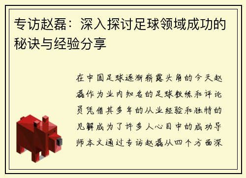 专访赵磊：深入探讨足球领域成功的秘诀与经验分享